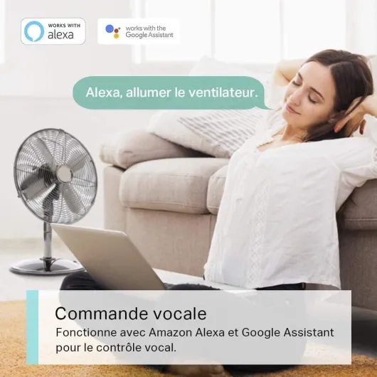 Prise Connectée WiFi, Prise Intelligente Compatible avec Alexa et Google Home, 10A Type E, Contrôler Le radiateur, la cafetière, la Lampe à Distance, Aucun hub requis, Tapo P100(FR) 1 Pack Type E 1 Pack