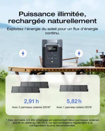 Pack Générateur Solaire EcoFlow DELTA 2 et panneau solaire 220 W, capacité de 1-3 kWh, batterie LFP, charge rapide, station électrique portable pour secours domestique, balcon, camping et camping-cars DELTA 2+220W*1