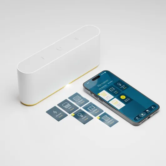Box domotique Tahoma Switch - Centralise et Pilote Vos Volets roulants et équipements connectés - Contrôle à Distance Via l'application ou Un Assistant Vocal - Compatible IO, RTS & Zigbee
