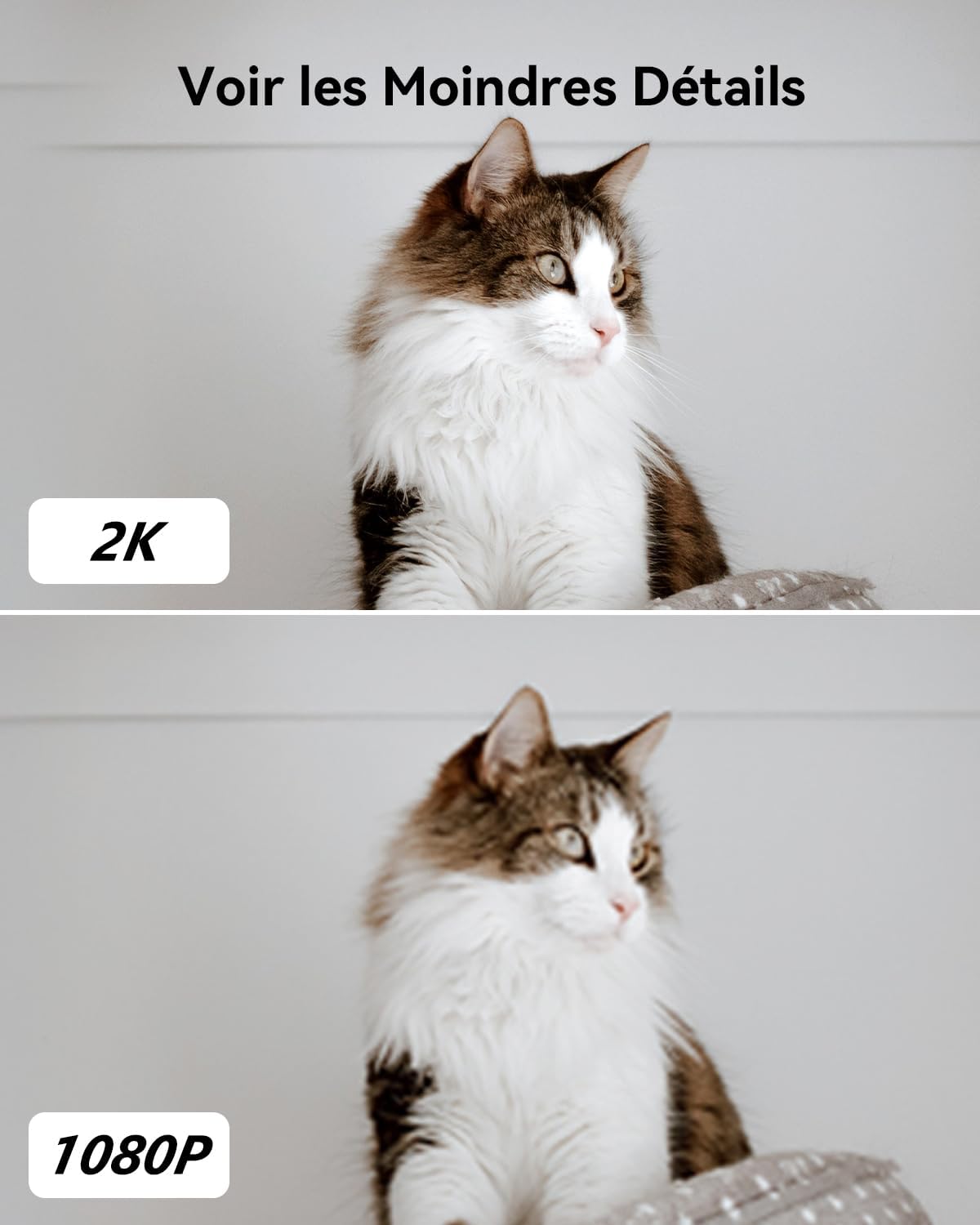 2K(3MP) Caméra Surveillance WiFi Intérieure Caméra 360° Connectée Smartphone avec Détection Humaine AI Suivi Intelligent Sirène Audio Bidirectionnel Compatible Alexa pour Bébé/Animaux (2 Pièces)