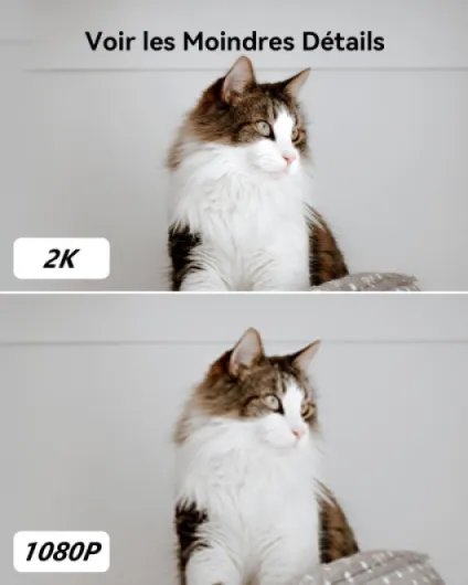 2K(3MP) Caméra Surveillance WiFi Intérieure Caméra 360° Connectée Smartphone avec Détection Humaine AI Suivi Intelligent Sirène Audio Bidirectionnel Compatible Alexa pour Bébé/Animaux (2 Pièces)