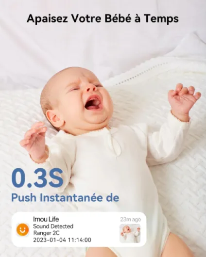 61kF91M8JKL._AC_SL1500_