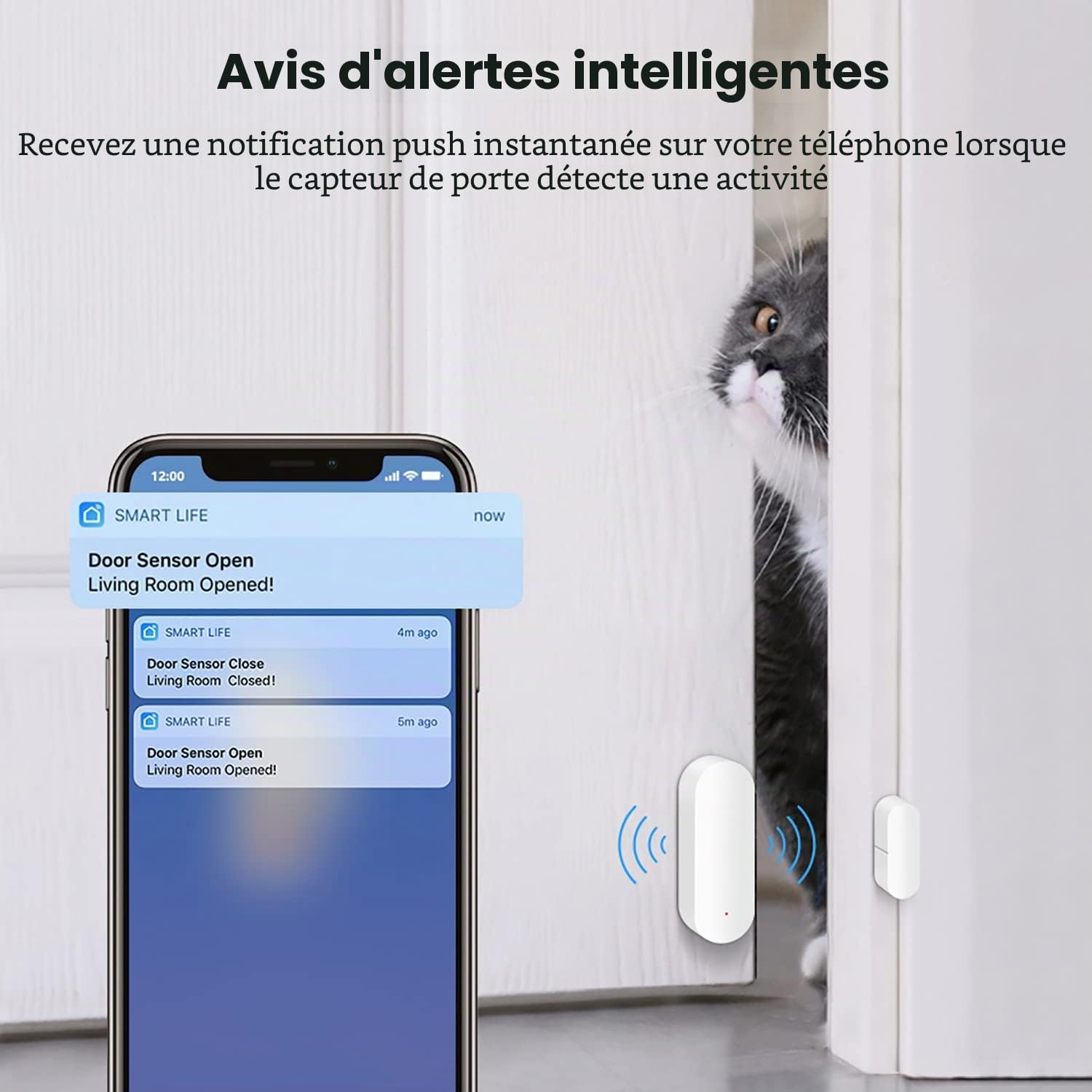 Capteur de Porte WiFi : Détecteur Intelligent d'Ouverture/Fermeture, Sans Fil pour Fenêtre, Avec Alerte de Notification par Application, pour la Sécurité Orchidée Blanche