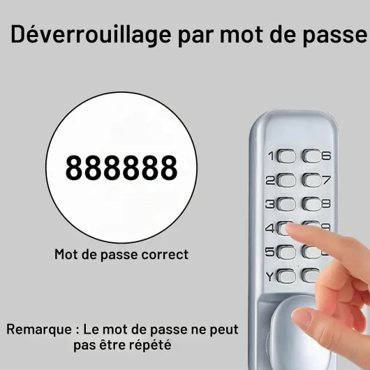 61m8ZXR-gIL._AC_SL1500_