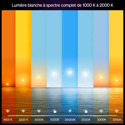 Ampoule connectée LED A60, White and color, Ampoule Philips Hue E27, 6 W, Spectre complet 1000-2000 K, 810 lm, Intensité variable, Compatible Alexa, Google et Apple Home, pack de 4