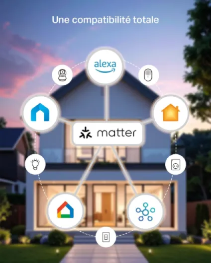 Matter Prise Connectée WiFi, Suivi de consommation, 16A Type E, Compatible avec Alexa, Google Home et SmartThings, Contrôler le radiateur, le chauffage, Économie d'énergie, Tapo P110M 2-pack(FR) Matter Type E(FR) - 2 pack