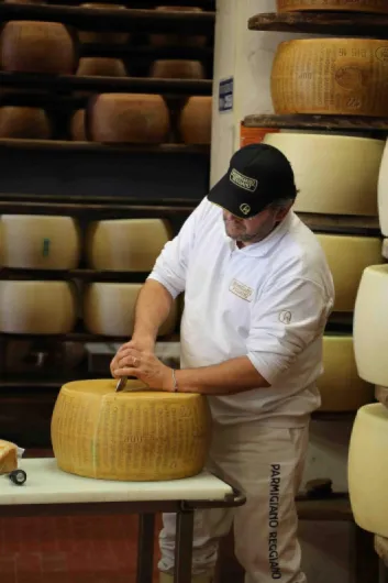 Parmigiano Reggiano (Parmesan Reggiano) D.o.p - NO OGM maturé pendant au moins 36 mois - 1 KG