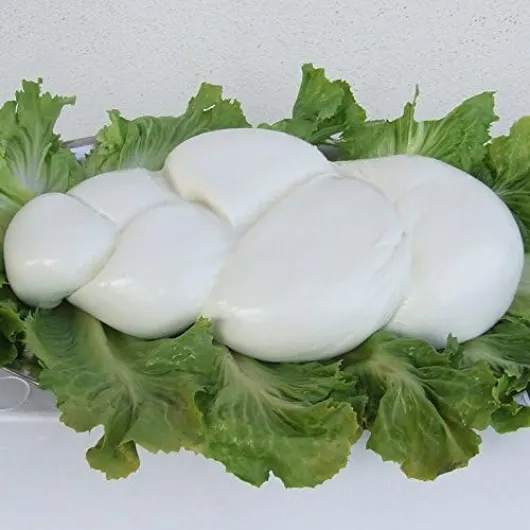 Treccione Mozzarella di Bufala (3 kg)