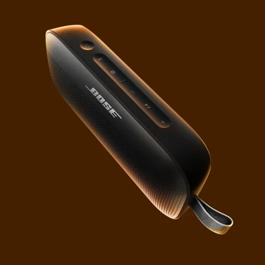 SoundLink Flex (2e génération) Enceinte Bluetooth, Enceinte d’extérieur ultra-portable avec son haute fidélité, 12 heures d’autonomie, Enceinte résistante étanche à l’eau et à la poussière, Noir Noir Avec microphone